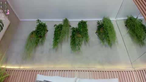 lana_lann online show from 03.12.25