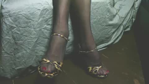 Snapshot of lana_legs53 chatting on 04.19.26 lana_legs53 online show from 04.19.26
