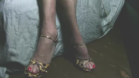 Snapshot of lana_legs53 chatting on 05.31.26 lana_legs53 online show from 05.31.26