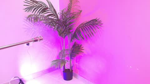 LANA online show from 04.03.26