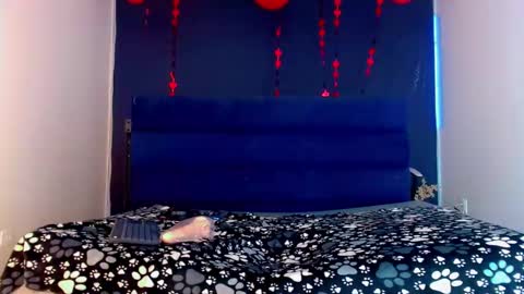 Snapshot of lara_brunette chatting on 02.17.25 Lara Brunette  online show from 02.17.25