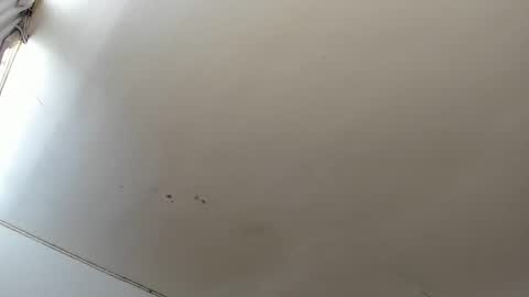 Snapshot of lara_jean23 chatting on 10.23.25 Lara online show from 10.23.25