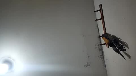 CHARLES ROBERT online show from 12.20.25