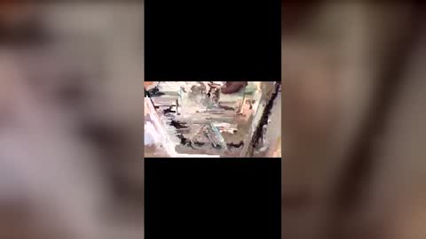 Snapshot of latinbulldaddy88036 chatting on 03.09.26 latinbulldaddy88036 online show from 03.09.26