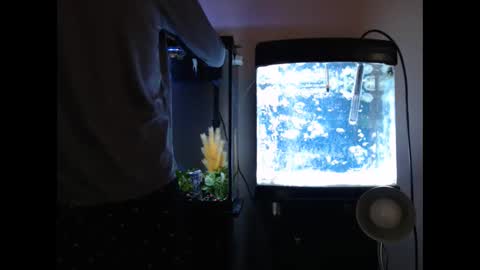 latinlover513 online show from 01.28.25