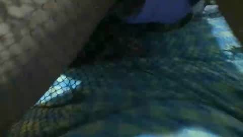 latinoboi2 online show from 04.01.26