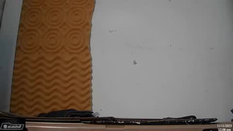 Snapshot of latinstud7 chatting on 11.11.25 Nico online show from 11.11.25