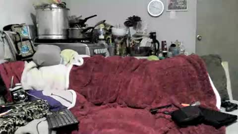 lauradecuada2 online show from 02.08.26