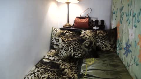 Belle online show from 02.02.25