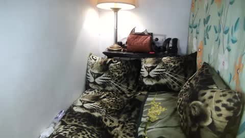 Belle online show from 02.08.25