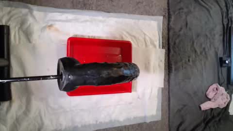 Snapshot of laurelinetv chatting on 11.10.25 LaurelineTV online show from 11.10.25