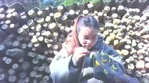 layla_999 online show from 01.12.26