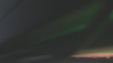 leowolf online show from 12.08.24
