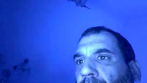 lechebizvm online show from 11.04.25