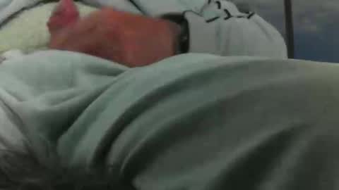 leckfreund53 online show from 10.03.25