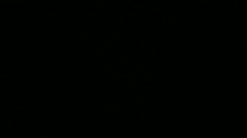 Snapshot of leeguy_hugedick chatting on 05.25.26 Ebony DeafGuy online show from 05.25.26