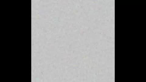 leejhonsonnn online show from 10.22.25