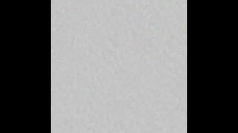 leejhonsonnn online show from 11.06.25