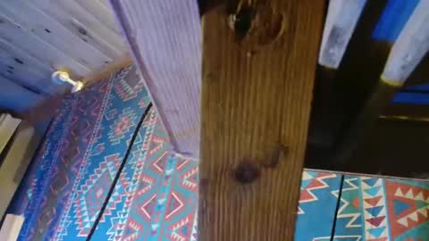 Dliciousman online show from 12.19.24