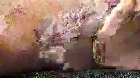 Snapshot of legofactory chatting on 01.27.25 legofactory online show from 01.27.25