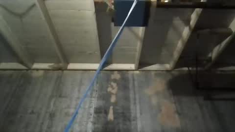 Snapshot of leo199984 chatting on 11.09.25 leo199984 online show from 11.09.25