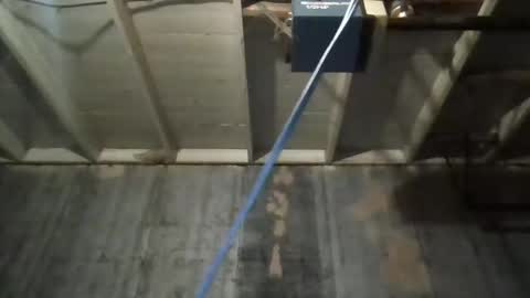 leo199984 online show from 11.25.25