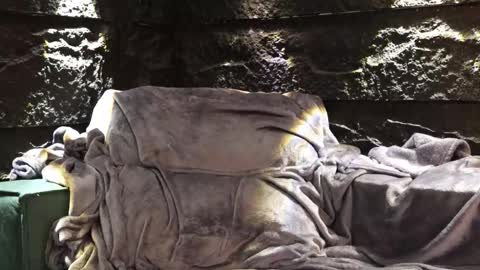 Leo  Diaz online show from 11.30.25