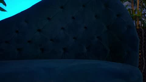 Jessie online show from 01.16.25