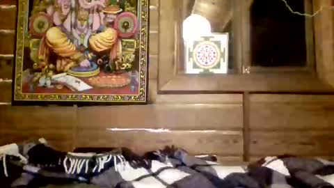 leskator9 online show from 03.31.26