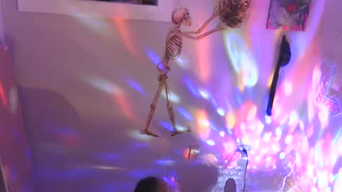 lewd palindrome online show from 01.02.25