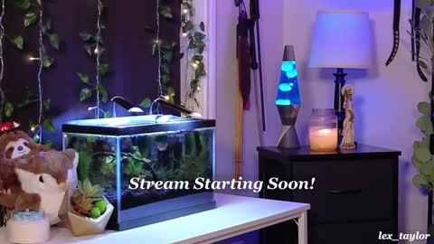 Lex online show from 01.08.25