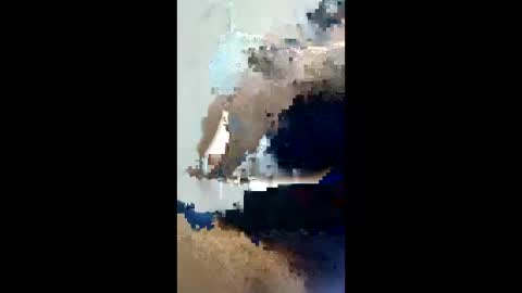 lexboy788181 online show from 04.23.26