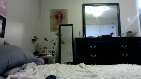 lexwyoex online show from 10.24.25