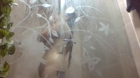 Snapshot of leyla_horny_bg chatting on 12.22.25 leyla_horny_bg online show from 12.22.25