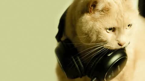 Snapshot of li_lit chatting on 03.02.26 li_lit online show from 03.02.26