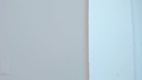 Liss 3 online show from 11.04.25