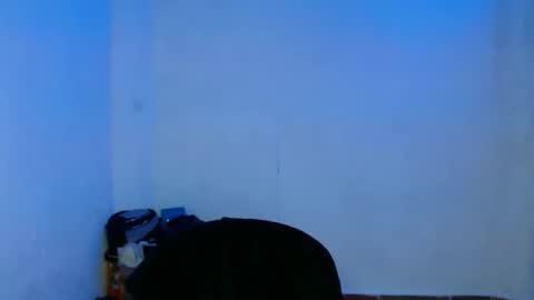 Snapshot of lia_vc chatting on 12.22.24 lia_vc online show from 12.22.24