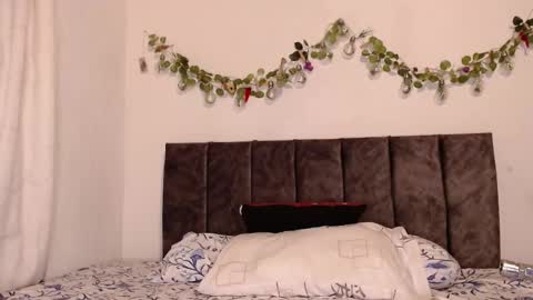 Snapshot of liaa_cute_ chatting on 12.29.24 lia online show from 12.29.24