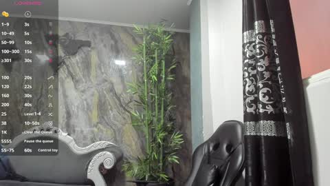 Snapshot of liam_kleiin chatting on 12.19.24 LIAM KLEIN online show from 12.19.24