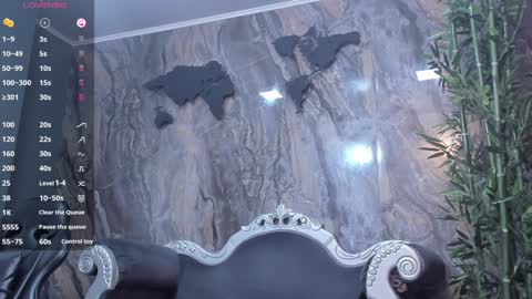 Snapshot of liam_kleiin chatting on 12.23.24 LIAM KLEIN online show from 12.23.24