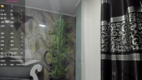 Snapshot of liam_kleiin chatting on 12.30.24 LIAM KLEIN online show from 12.30.24