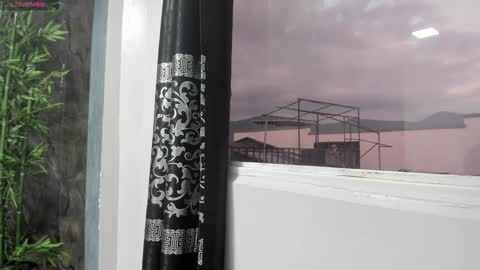 Snapshot of liam_kleiin chatting on 01.24.25 LIAM KLEIN online show from 01.24.25