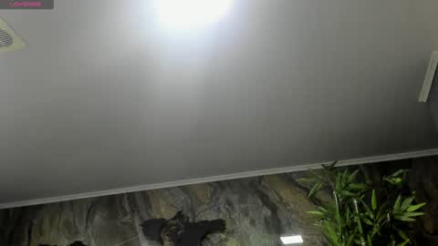 Snapshot of liam_kleiin chatting on 01.25.25 LIAM KLEIN online show from 01.25.25