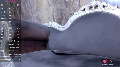 Snapshot of liam_kleiin chatting on 02.17.25 LIAM KLEIN online show from 02.17.25