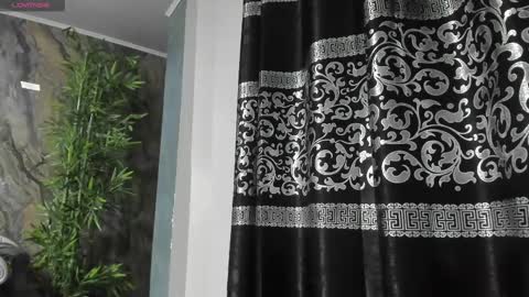 Snapshot of liam_kleiin chatting on 02.21.25 LIAM KLEIN online show from 02.21.25