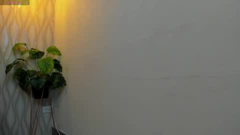 LIAM KLEIN online show from 02.12.26