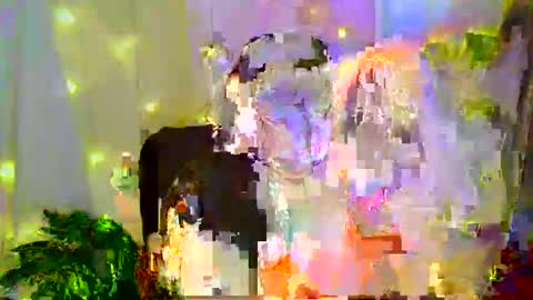 Liberta online show from 11.30.25