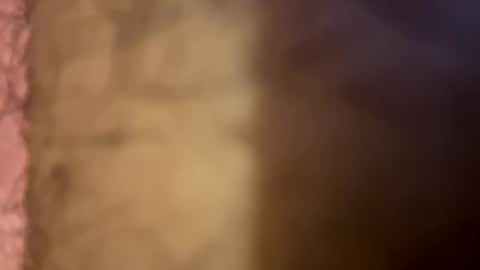 lightbulb444555 online show from 09.17.25