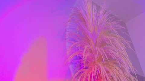 Liiam Luna online show from 04.03.26