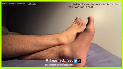 likeasnack online show from 10.14.25